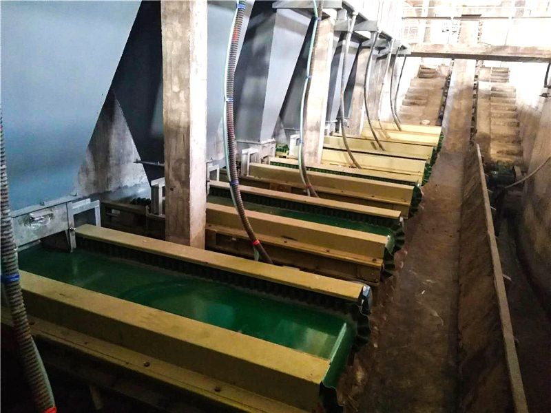 定量給料機現場圖片